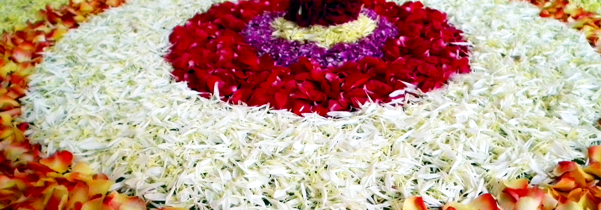 Rangoli made using flowers