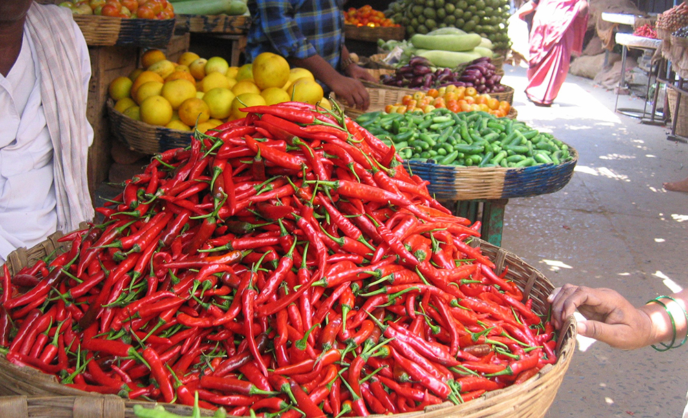 The world-famous Guntur red chillies. Image source: Wikimedia Commons