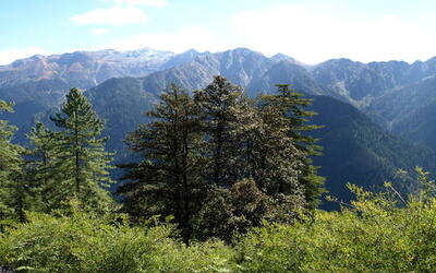 ग्रेट हिमालयन नेशनल पार्क (महान हिमालयी राष्ट्रीय उद्यान) संरक्षण क्षेत्र (जीएचएनपीसीए)